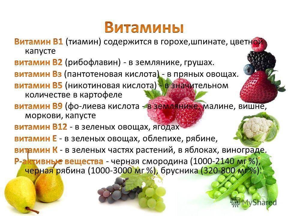 Вред и польза таурина для кошек: что это такое, в каких продуктах, кошачьих кормах и витаминах содержится?