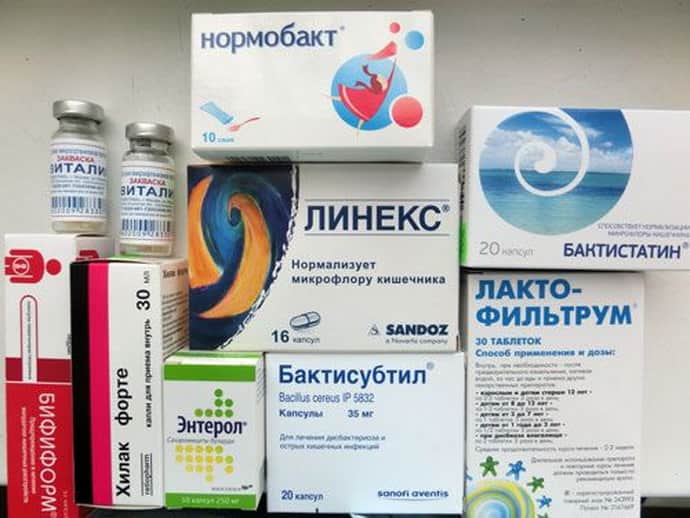 Дисбактериоз у кошек – описание, симптомы, лечение, профилактика