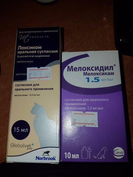 Локсиком для собак: описание, показания и инструкция | все о собаках