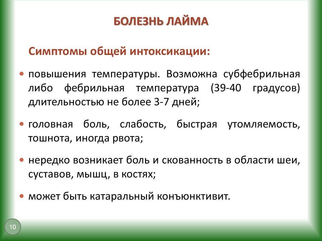 Боррелиоз у собак: основные симптомы и профилактика лечения