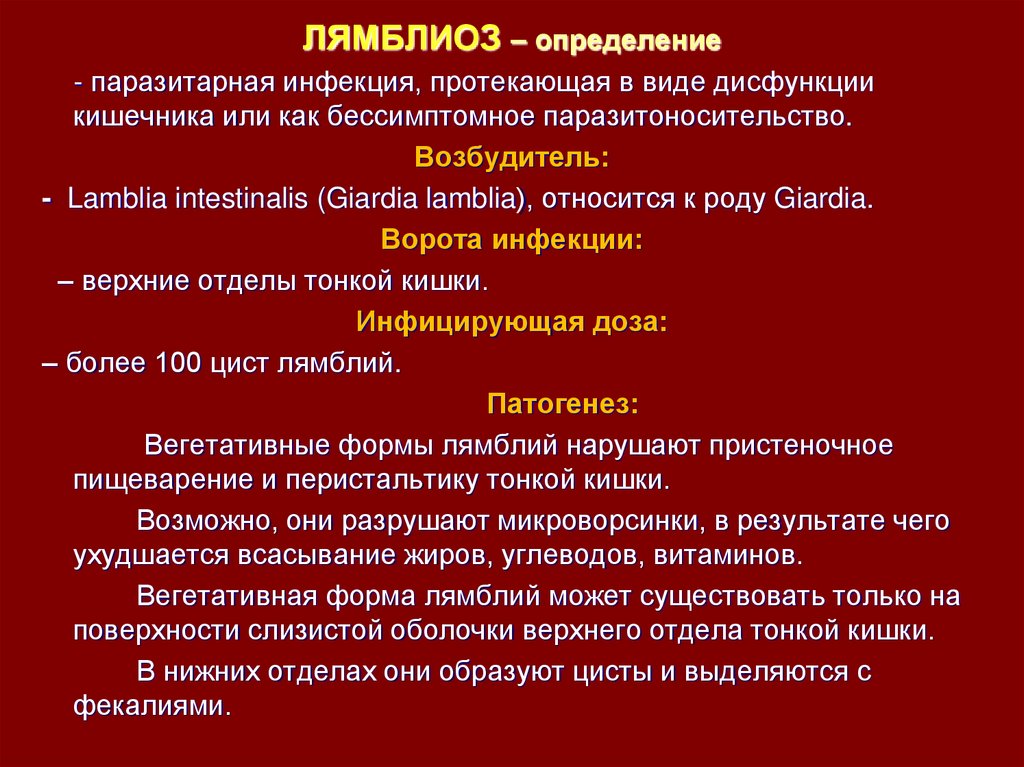 Лямблиоз у собак: скрытая угроза