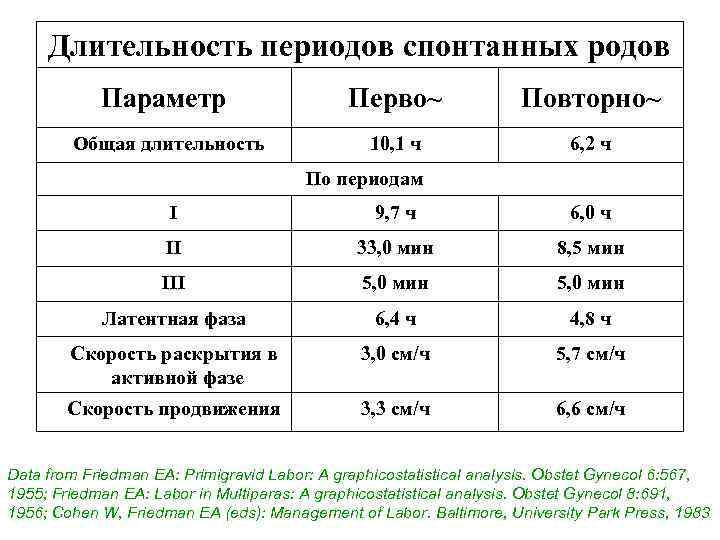 Схватки у кошки: признаки, продолжительность и общие сведения