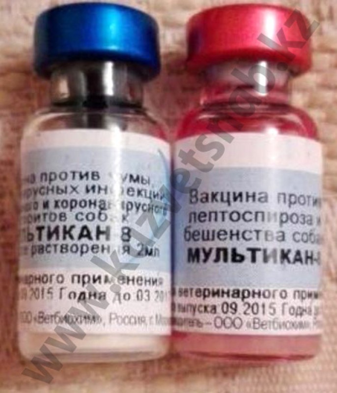 Мультикан 8 для собак — инструкция по применению