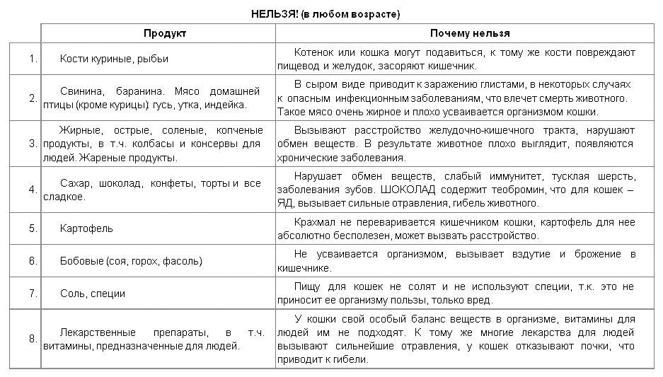 Как правильно подобрать корм для котят от 1 месяца?