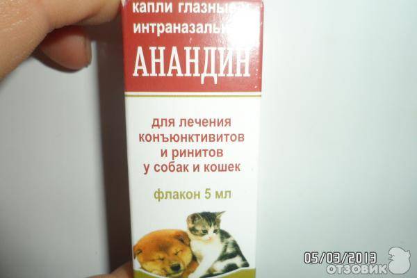 «анандин»: инструкция по применению интраназальных капель для инъекций собак и кошек. капли для носа и ушей.