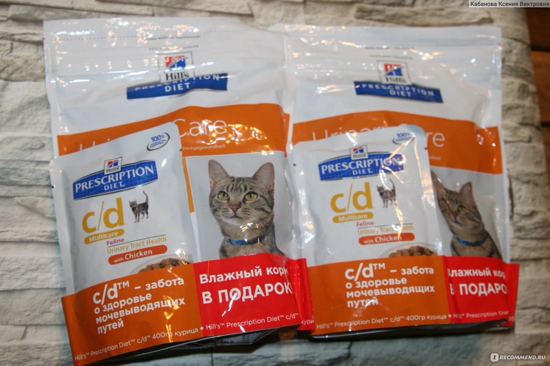 Как правильно кормить кошку при мочекаменной болезни - kot-pes