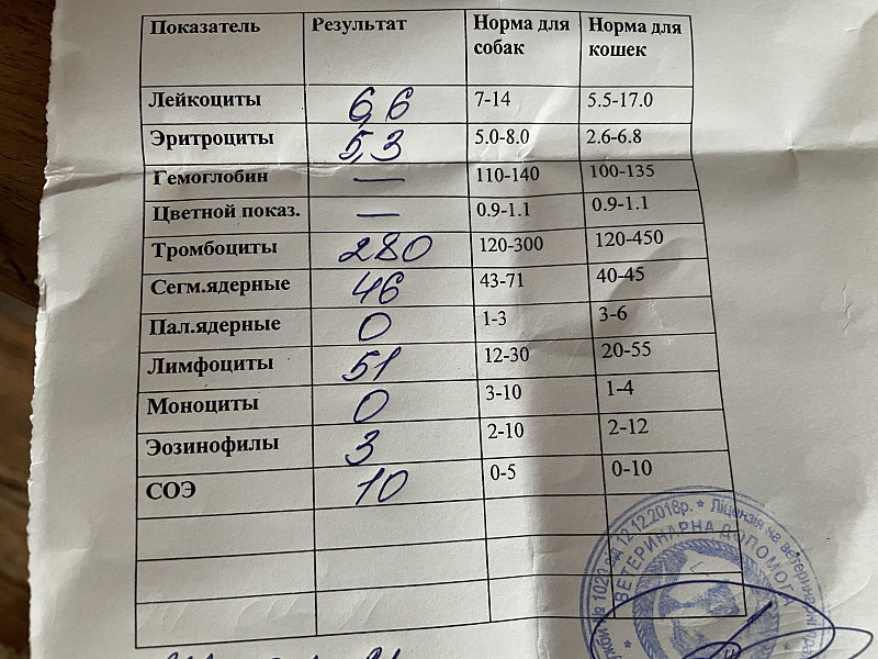 Интерпретация результатов биохимического исследования крови и корреляции показателей