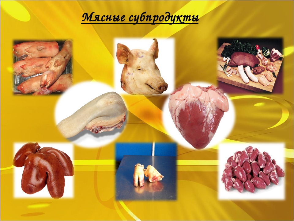 Кормление собак субпродуктами: продолжительность варки вымени, сердца и печени