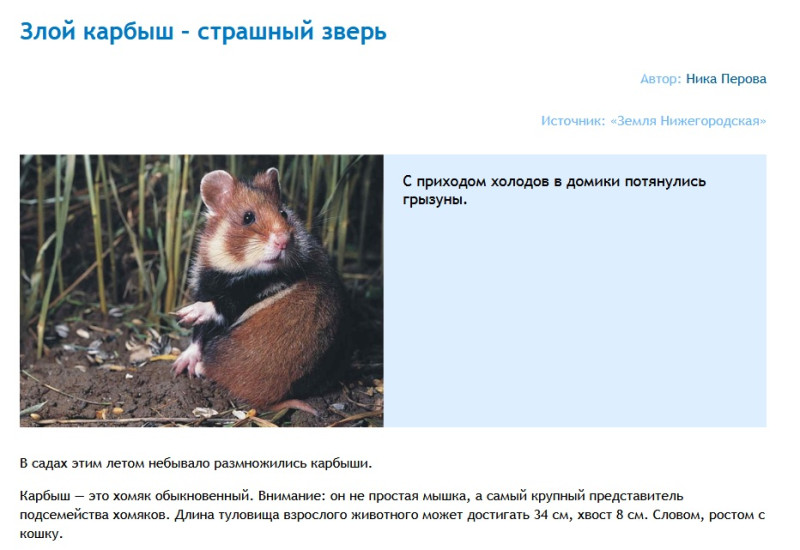 Карбыши? что делать. дачный. основной