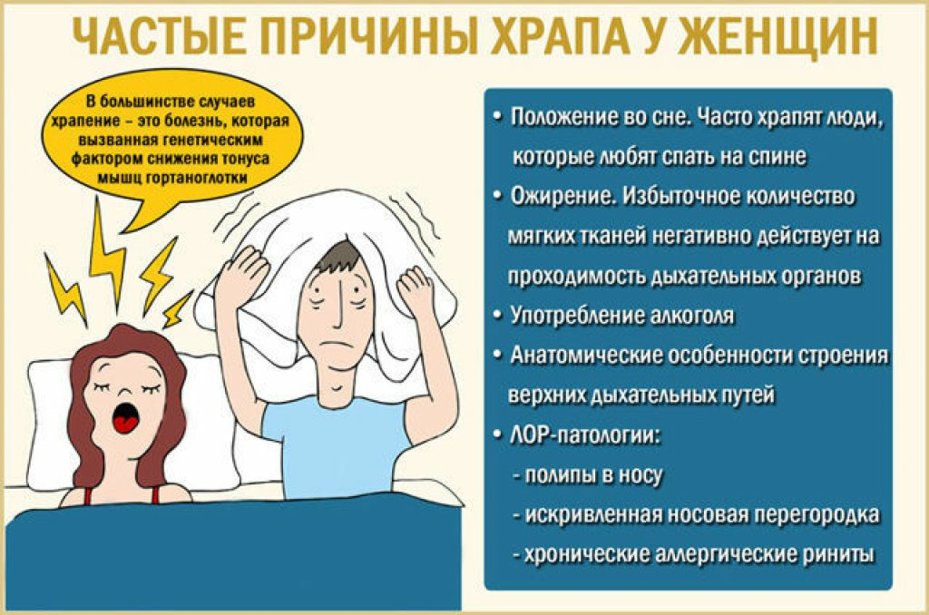 Ваша кошка храпит? первые признаки заболеваний
