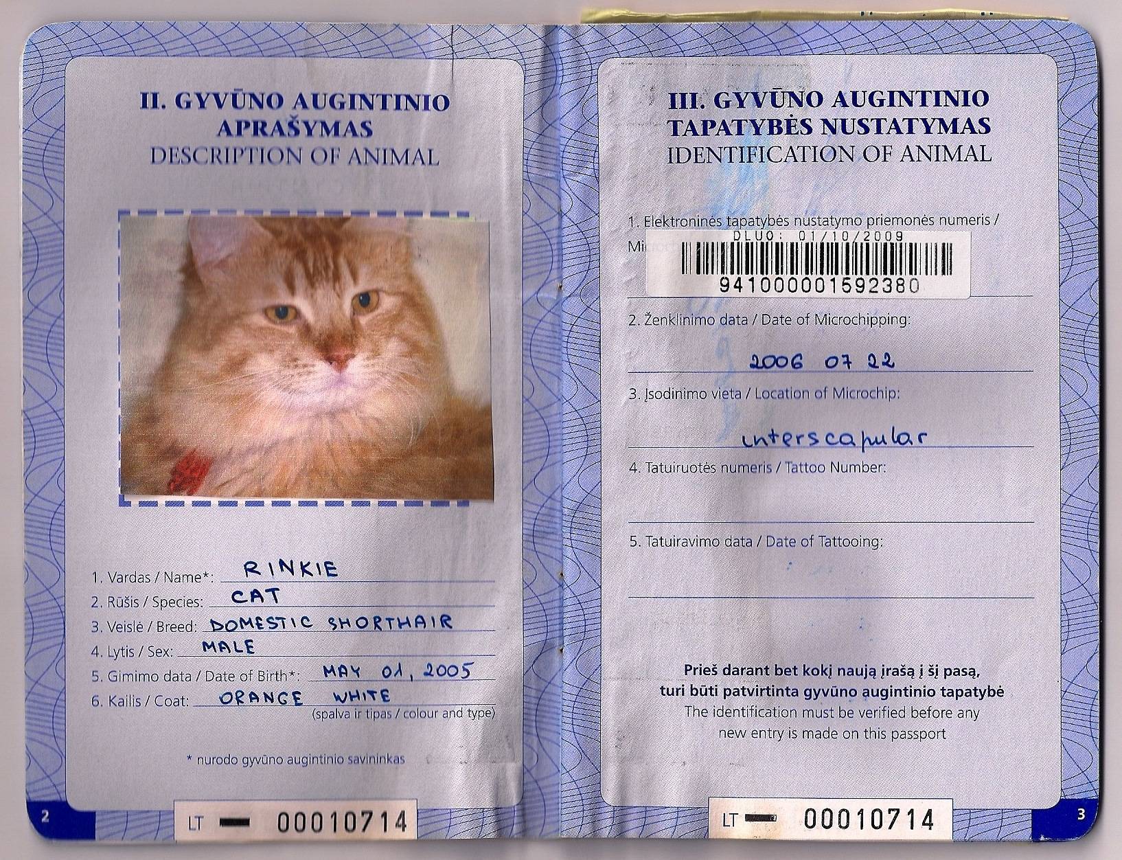 ᐉ ветеринарный паспорт для кошки - ➡ motildazoo.ru