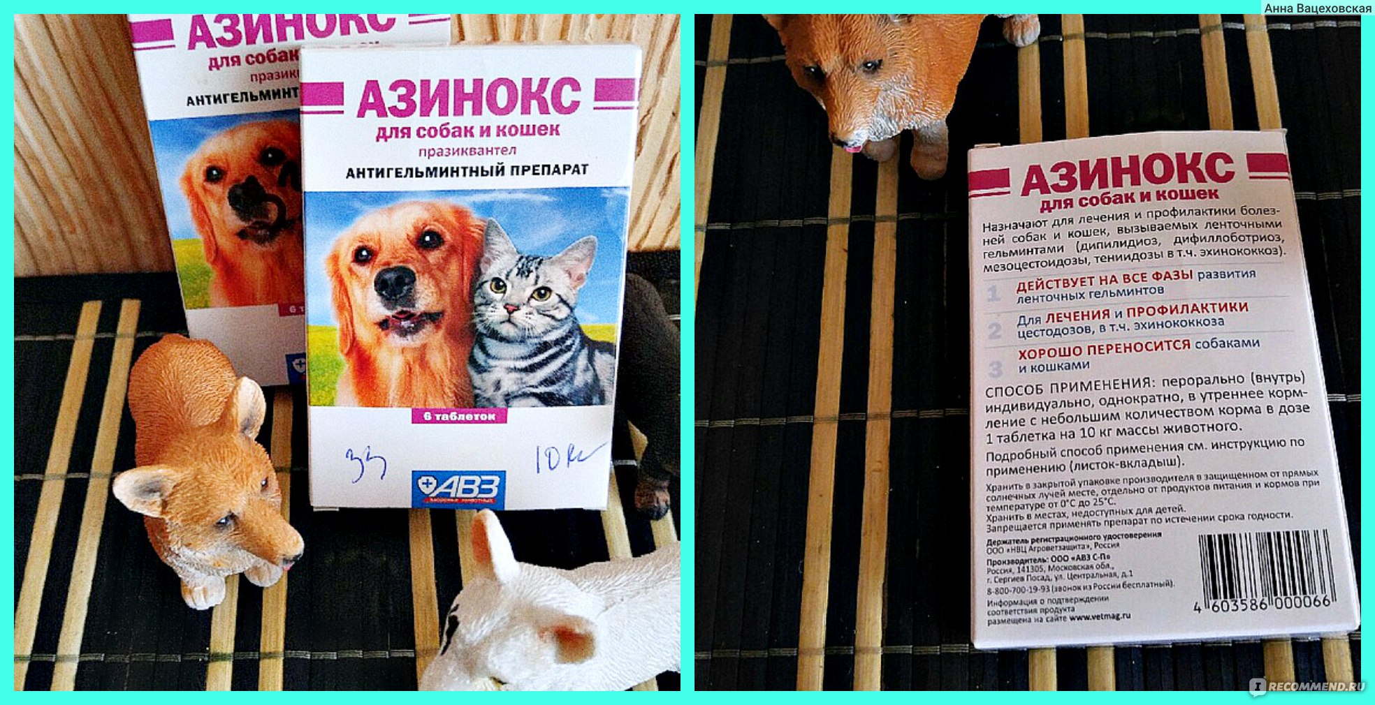 Все, что нужно знать о препарате азинокс плюс для профилактики гельминтов у собак