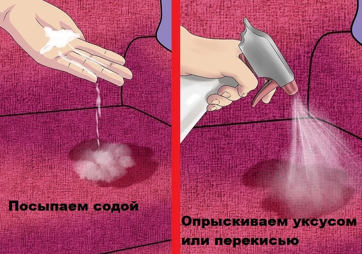 Как отучить кошку мочиться на постель - wikihow
