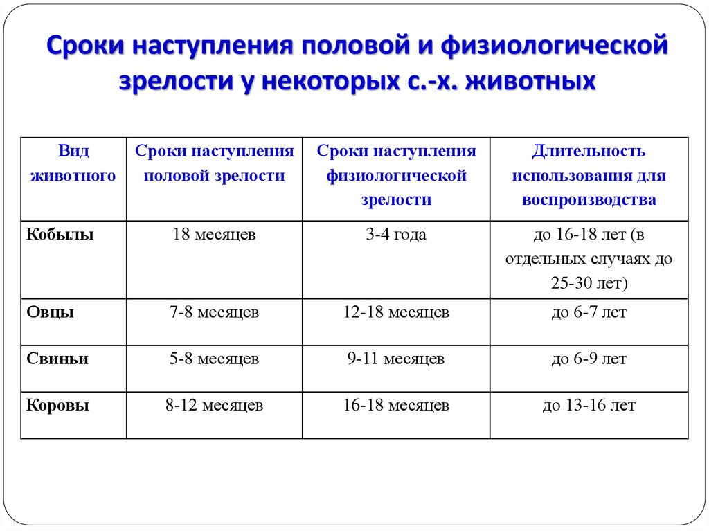 Сколько длится беременность у кошек: нормальная, переношенная, недоношенная + онлайн калькулятор