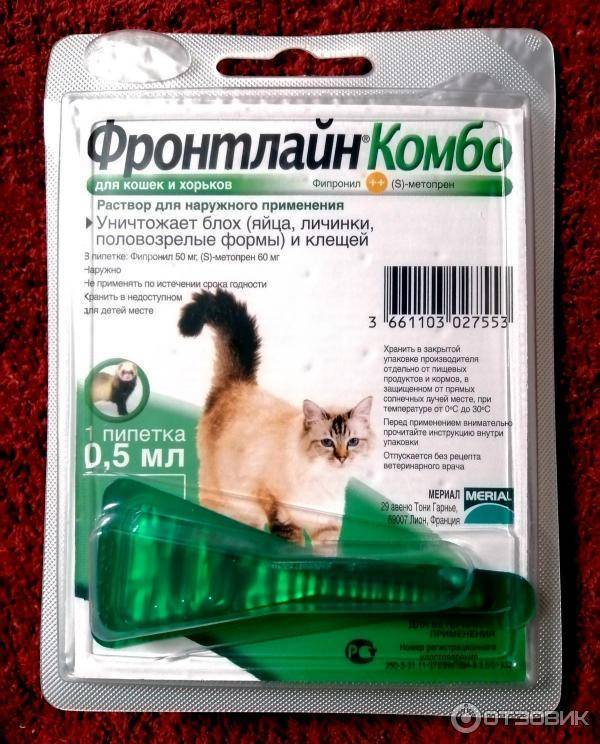 Фронтлайн от блох для кошек: виды и инструкция по применению