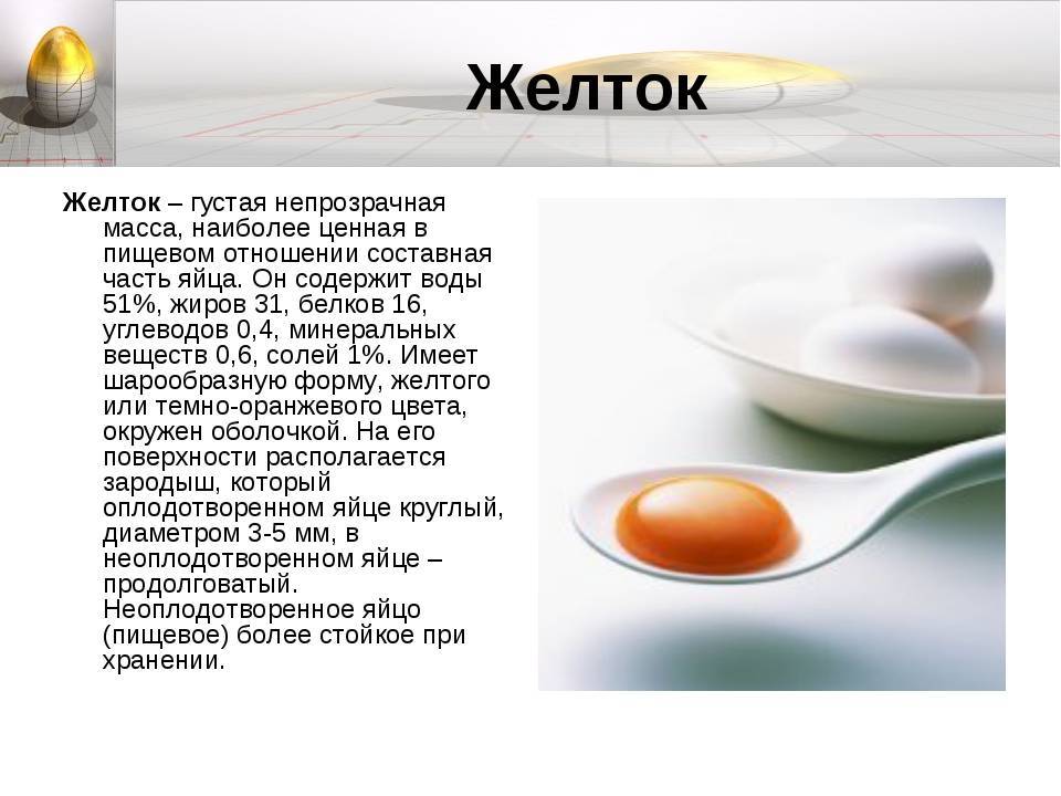 Можно ли домашней крысе яйцо вареное и сырое