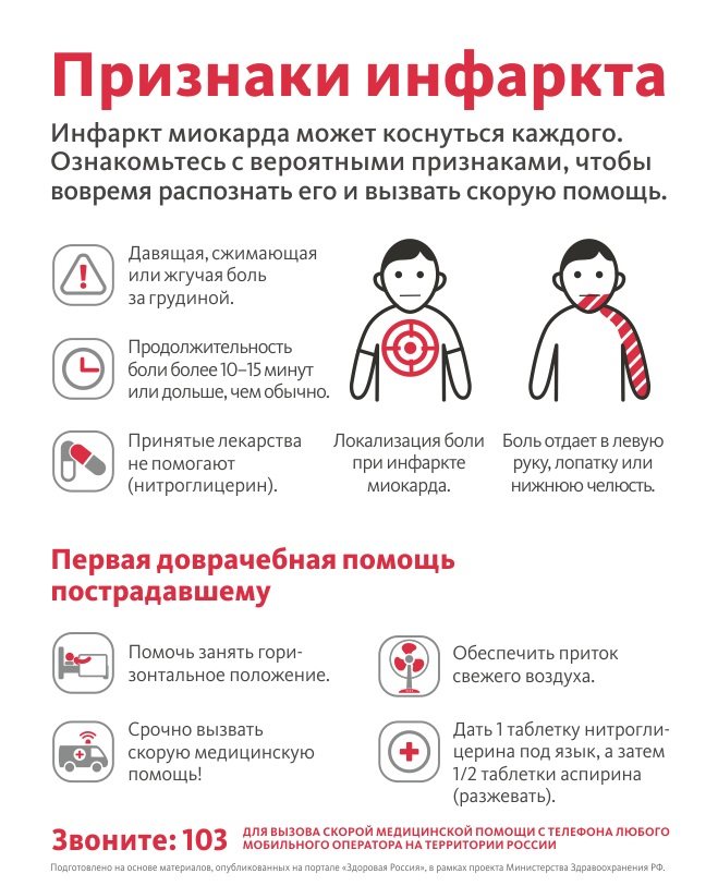 ᐉ инфаркт миокарда у кошки - ➡ motildazoo.ru