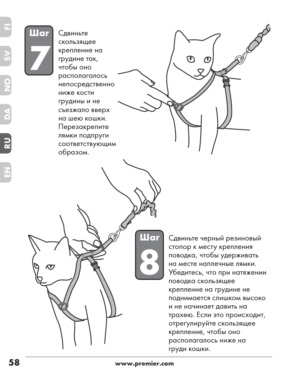 Шлейка для кошки: как выбрать и надеть, сделать своими руками, видео