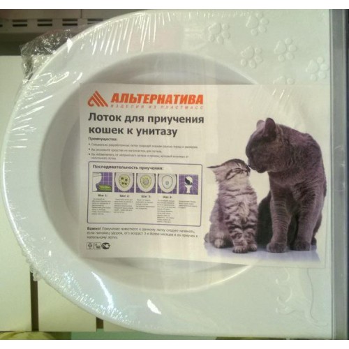 Как приучить котенка к туалету?