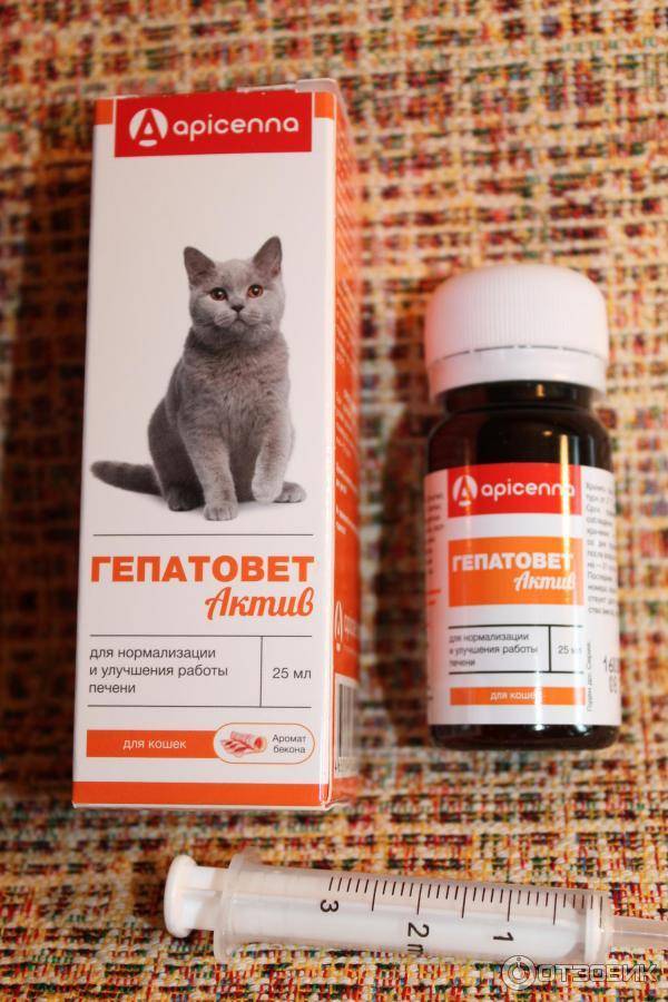 Гепатовет для кошек лечит печень