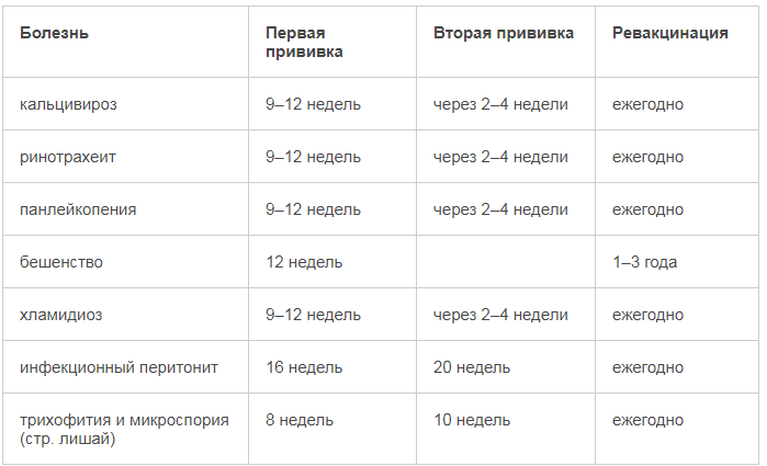 План прививок для кошек и котят