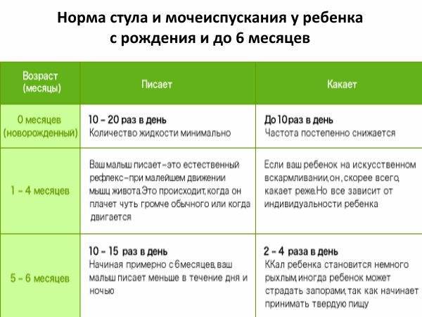 Кошка ходит в туалет ???? описание, норма, когда стоит волноваться, советы