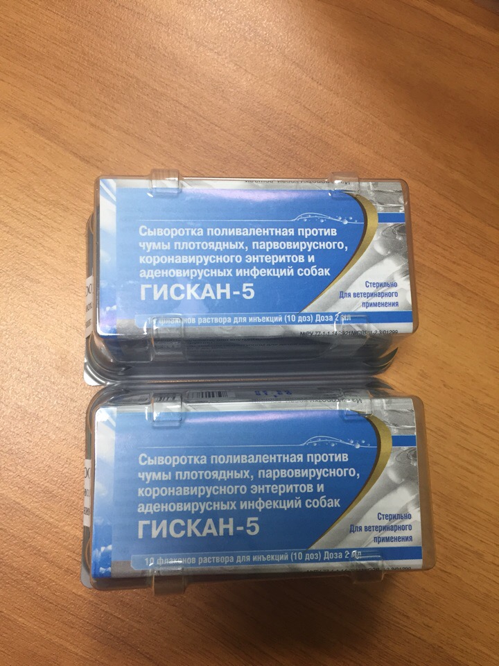 Сыворотка гискан-5 для собак: инструкция по применению для щенков и взрослых. как, для чего и куда колоть препарат питомцу и дают ли его в качестве вакцины?