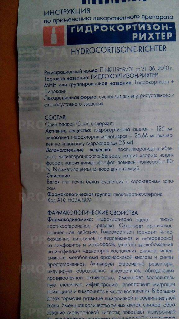 Как лечить конъюнктивит у кошек: 11 шагов