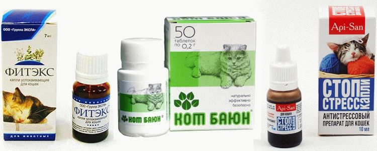 Подробный обзор и способ применения успокоительных средств для кошки