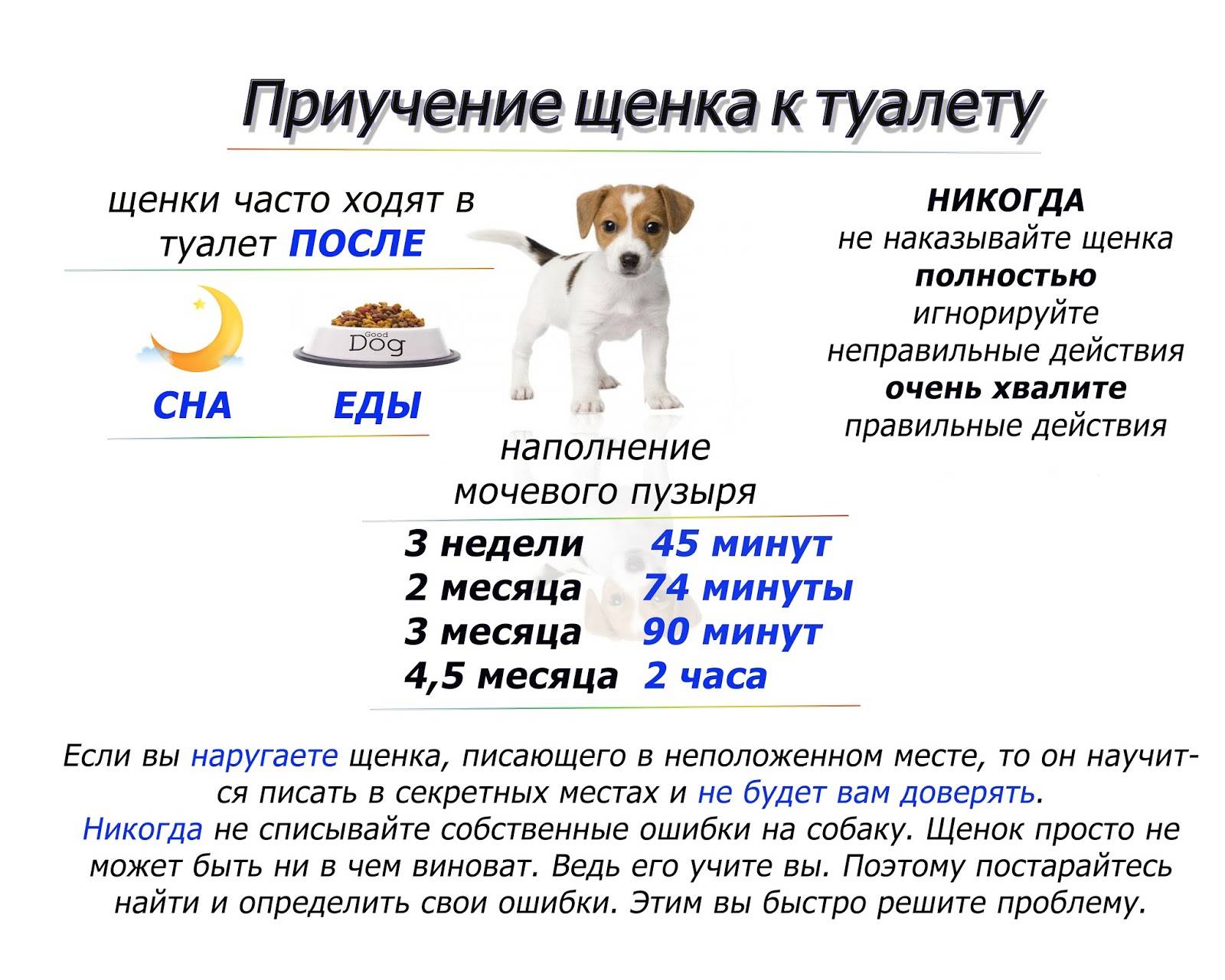 Значение алиментного щенка: юридические права и обязанности сторон в вязке