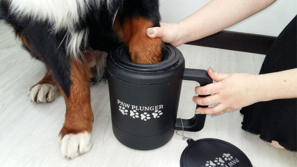 Описание лапомоек для собаки: обзор устройства paw plunger и других моделей