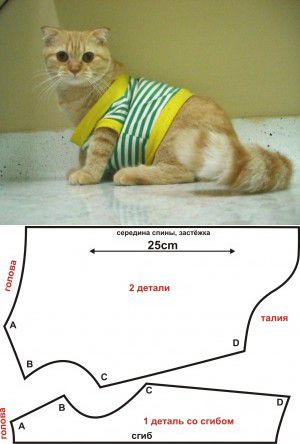 Одежда для котенка своими руками