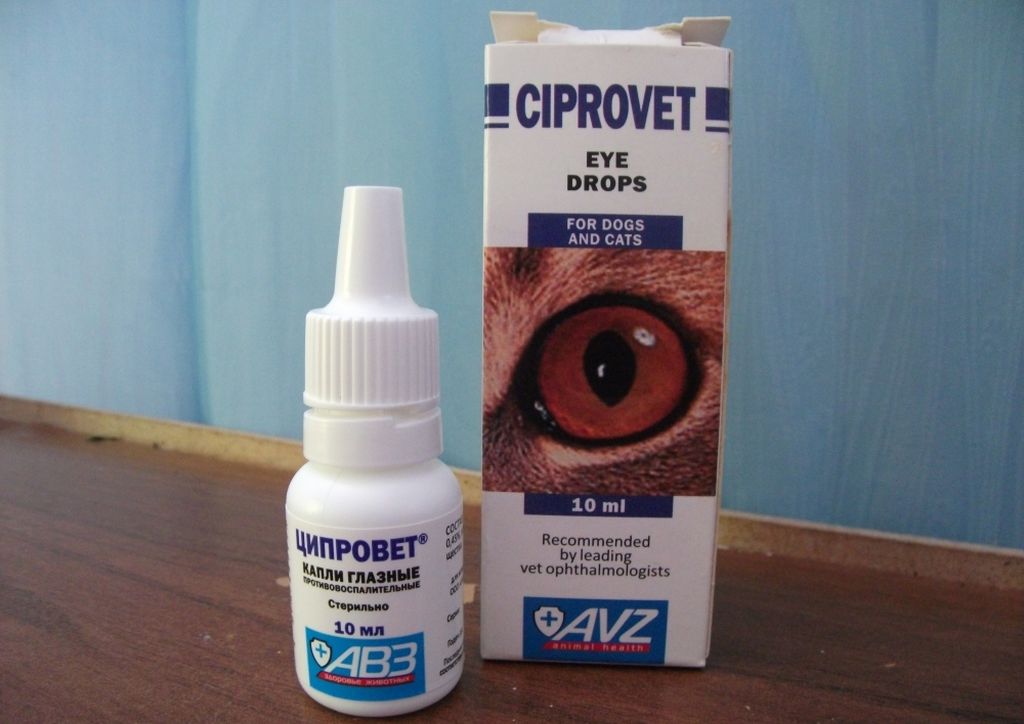 Глазные капли от катаракты. какие лучше? - clean view clinic