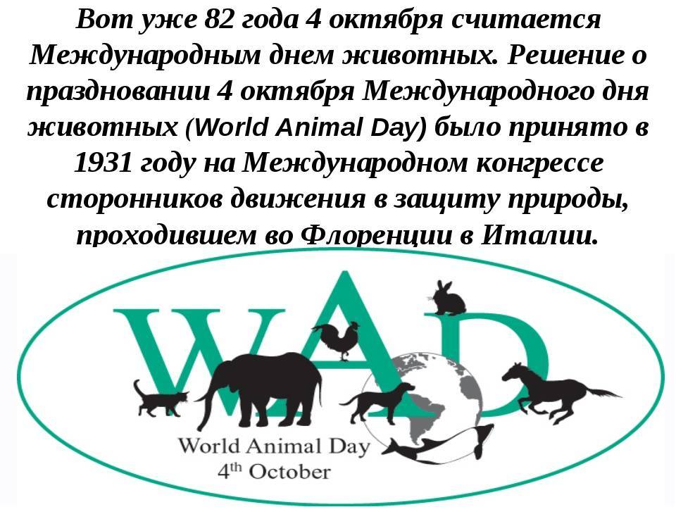4 октября всемирный день животных | этот праздник | дзен