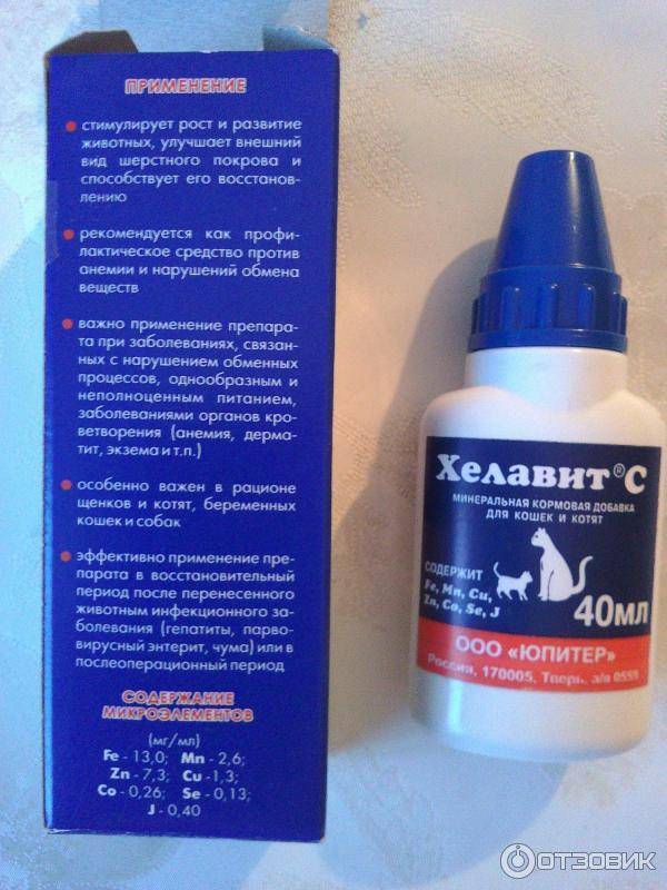 Хелавит с для кошек - инструкция по применению препарата