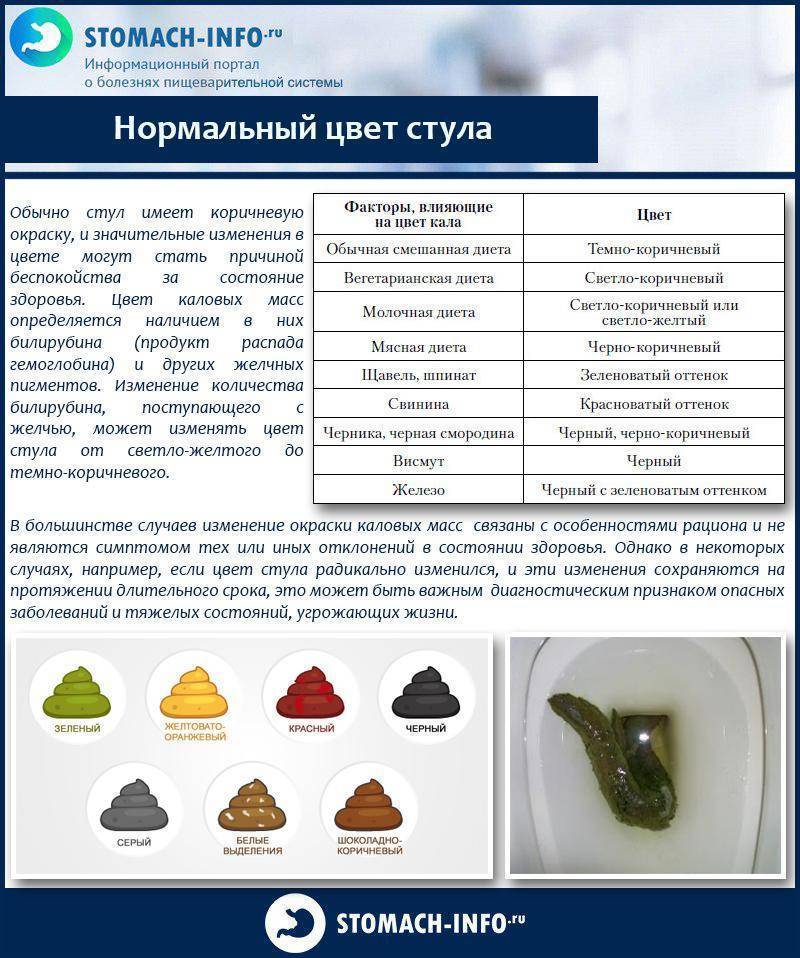 Диарея у кошек