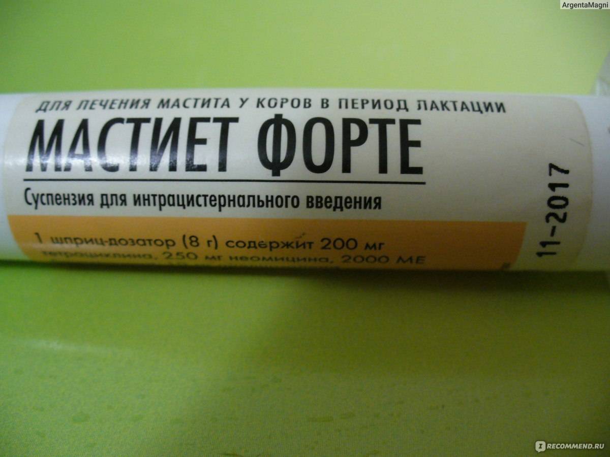 Мастиет форте для собак: инструкция по применению, эффективность и отзывы