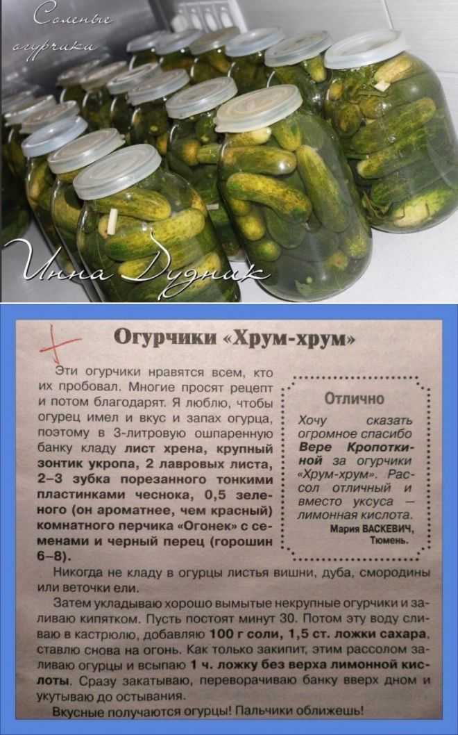 Морковь в рационе джунгарских и сирийских хомячков