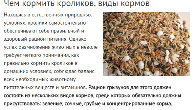 Содержание кроликов зимой: утеплениие клеток, рацион, размножение