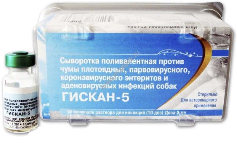 «гискан-5», сыворотка для собак: инструкция по применению, состав и отзывы