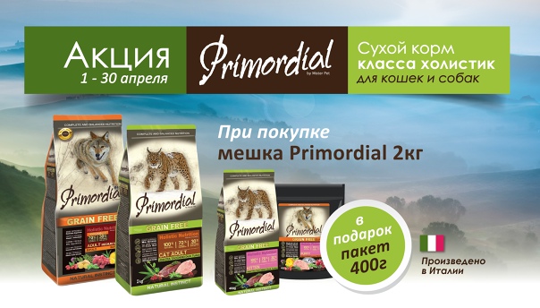 Корм для кошек primordial отзывы