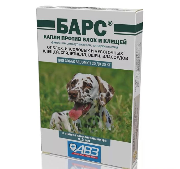 Лучшие капли от клещей для собак