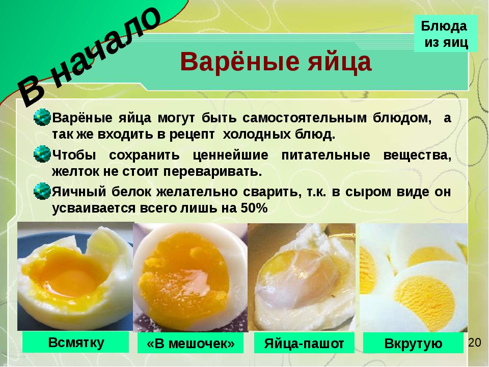 Можно ли давать собакам куриные и перепелиные яйца | dogkind.ru