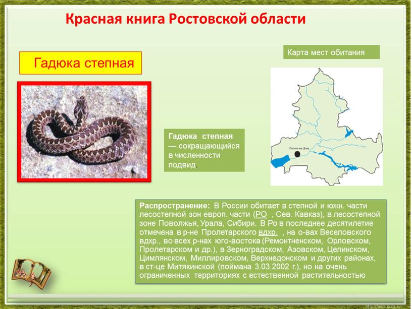Гадюка обыкновенная (продолжительность жизни, размножение, яд змеи)