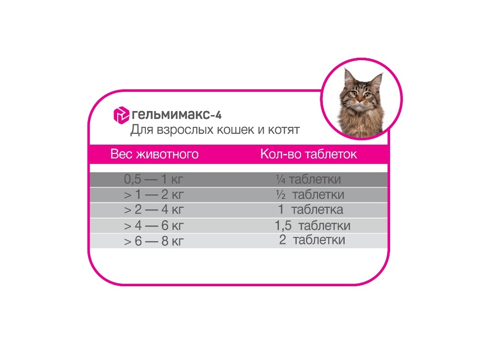 Гельмимакс-4 для кошек: инструкция по применению против гельминтов