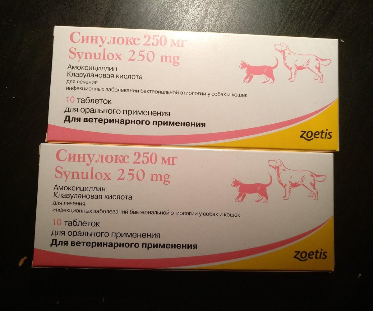Синулокс таблетки: инструкция по применению в ветеринарии (показания и противопоказания, дозы собакам и кошкам)