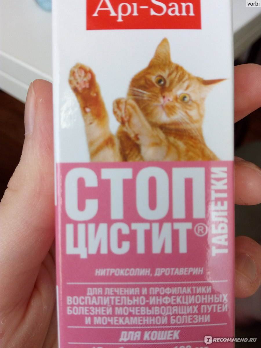 Стоп-цистит