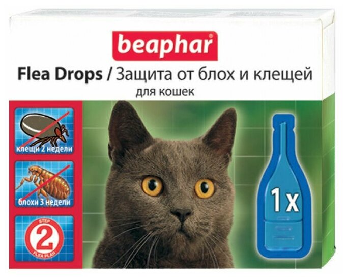 7 лучших капель от блох для кошек – рейтинг 2023 года