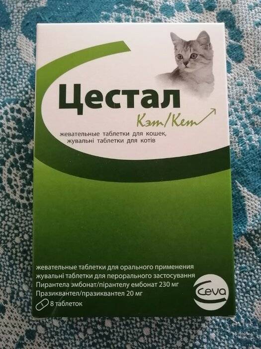 Инструкция по применению цестала для кошек