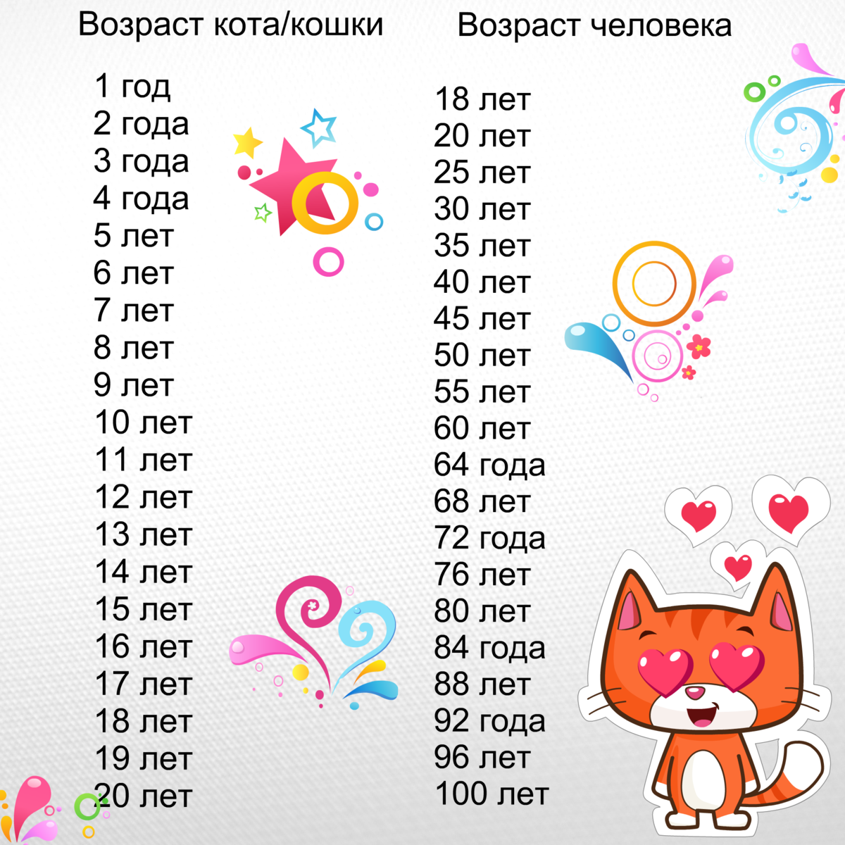 Сколько лет обычно живут кошки, от чего это зависит, как рассчитать возраст питомца по человеческим меркам?